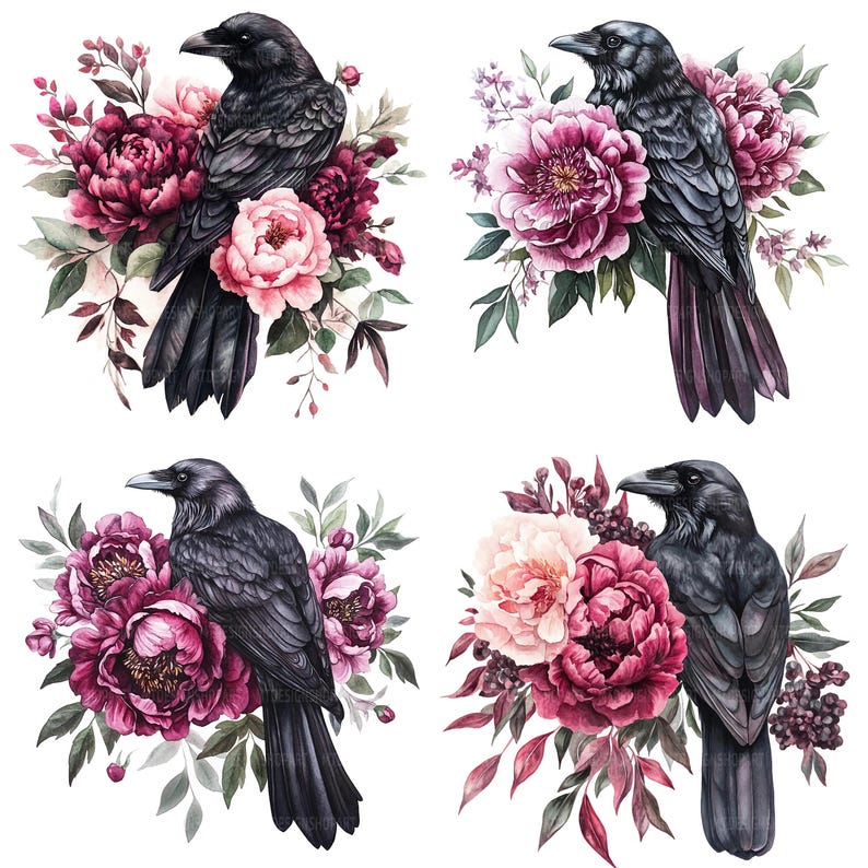 May include: Four watercolor illustrations of black crows perched on pink and burgundy peonies. The crows are depicted with detailed feathers and realistic expressions. The flowers are painted with soft, delicate strokes.