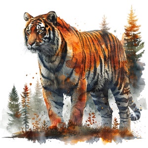 13 Tiger Clipart , Tiger Landscape,  Printable Watercolor Clipart, Paper Craft, Junk Journals, High Quality JPGs, Digital Download