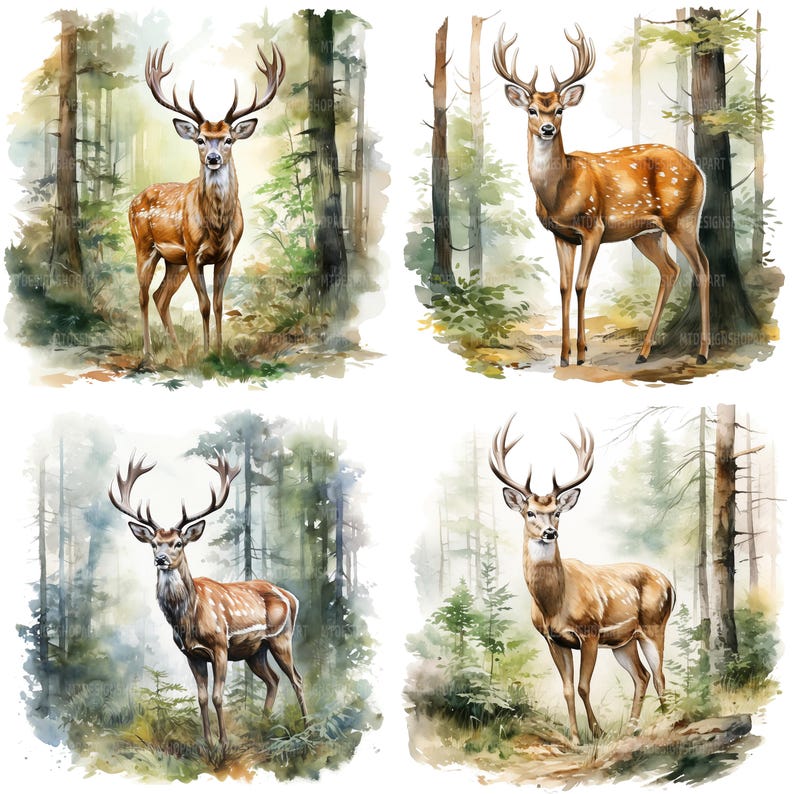 20 Deer in Forest Clipart, Red Deer Clipart, Printable Watercolor