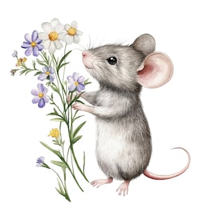 18 imágenes prediseñadas de ratón y flores silvestres, imágenes prediseñadas de flores silvestres, ratón, imágenes prediseñadas de acuarela imprimibles, manualidades de papel, archivos JPG de alta calidad, descarga digital