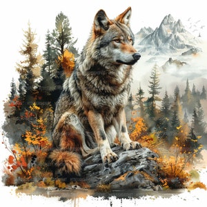 15 cliparts loup assis sur un rocher, aquarelle, clipart loup, fichiers JPG de haute qualité, téléchargement numérique, haute résolution, créations en papier