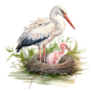 16 Stork Clipart, Storks in the Nest, Printable Watercolor Clipart