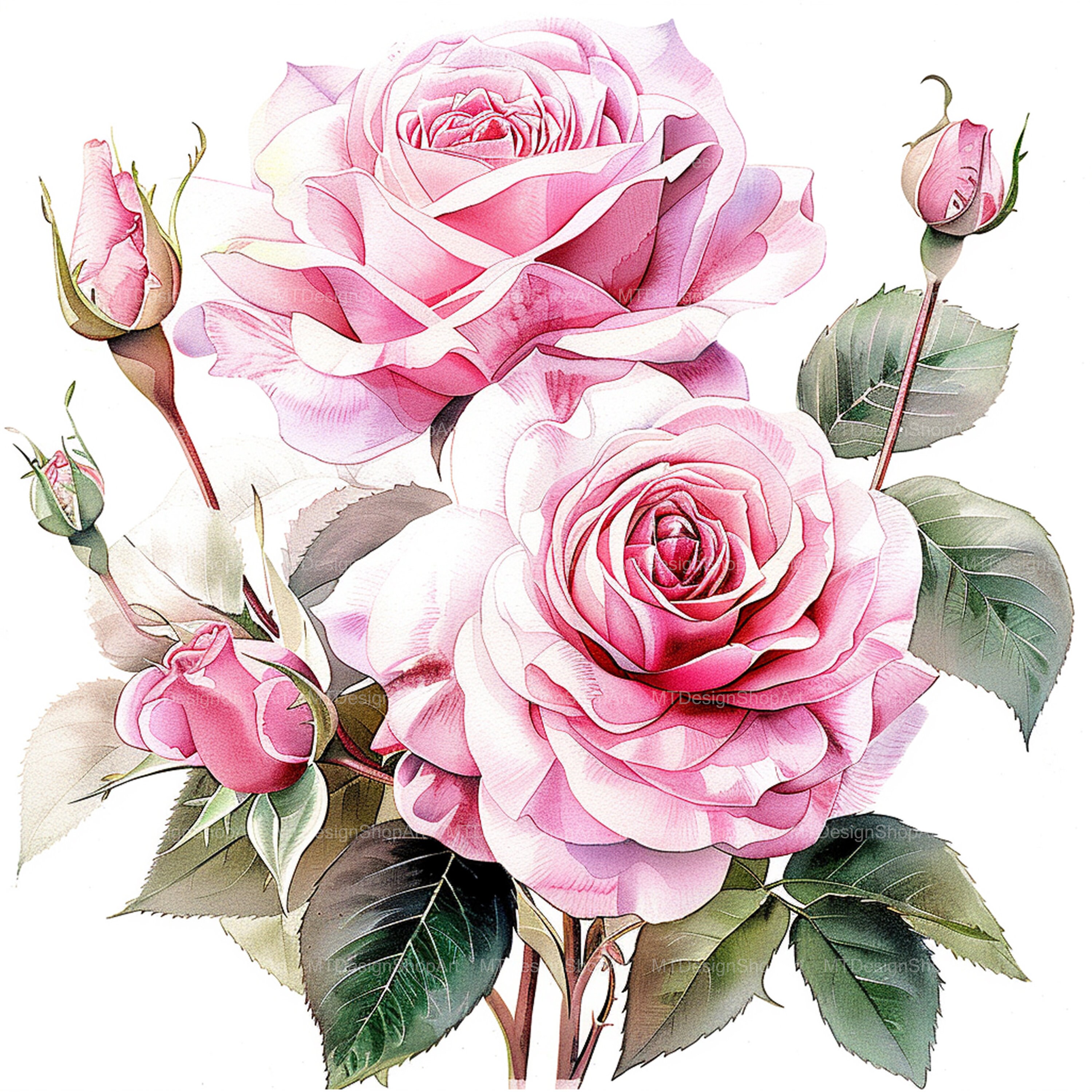 15 Pink Roses Clipart, Roses Clipart, Roses Bouquet, High Quality JPG ...