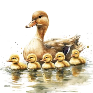 17 Clipart di mamma e anatroccolo, Clipart di anatre, Clipart di acquerelli stampabili, Lavoretti di carta, Diari di scarto, JPG di alta qualità, Download digitale immagine 5