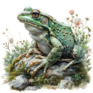15 Clipart grenouille, lot de cliparts grenouille, clipart aquarelle imprimable, créations en papier, journaux indésirables, fichiers JPG de haute qualité, téléchargement numérique
