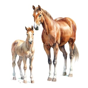 12 Horse and Foal Clipart, Baby Horse, Printable Watercolor Clipart, Paper Craft, Junk Journals, High Quality JPGs, Digital Download