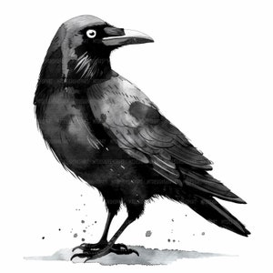 10 Black Crow Clipart, Raven Clipart, Printable Watercolor Clipart, Paper Craft, Junk Journals, High Quality JPGs, Digital Download