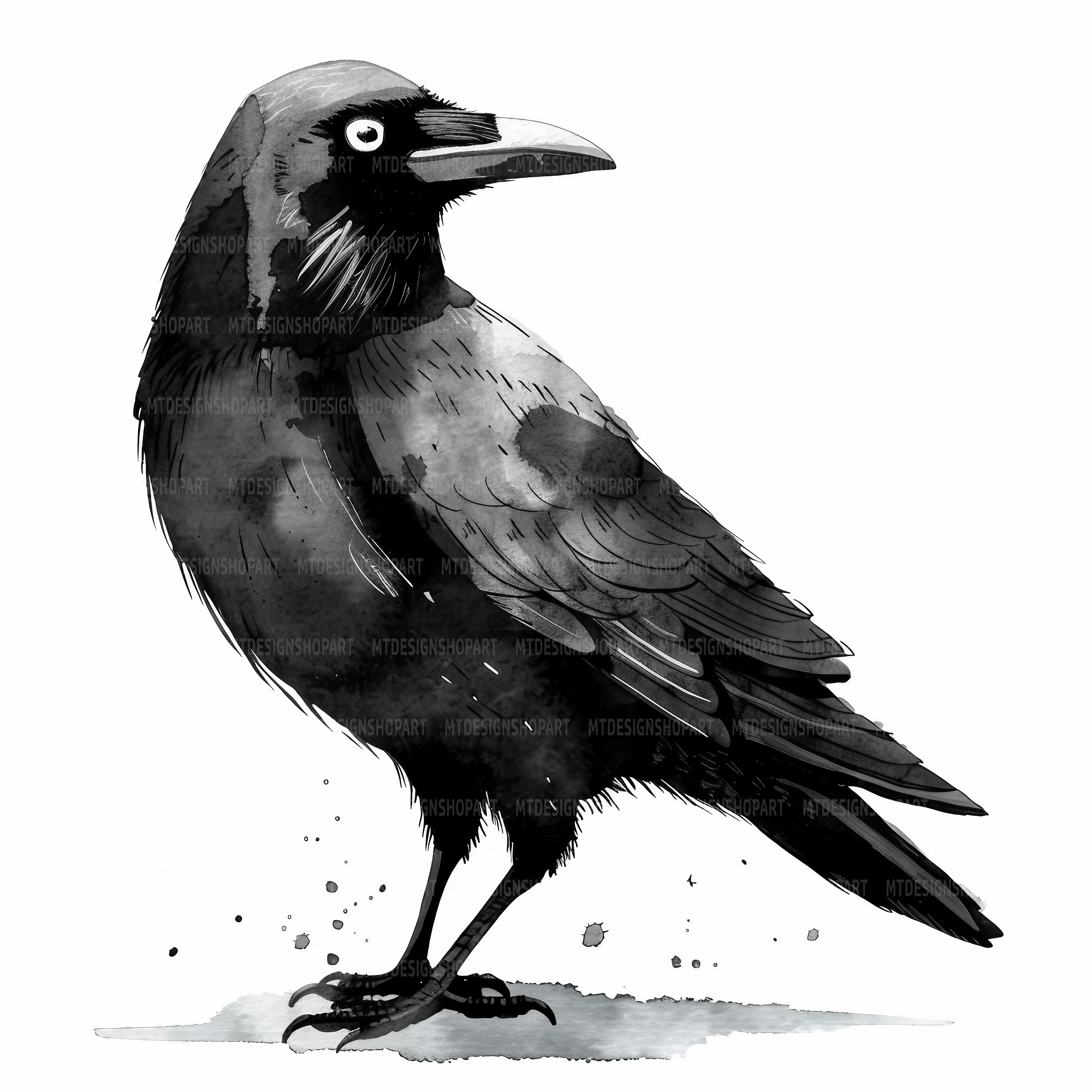 10 Black Crow Clipart, Raven Clipart, Printable Watercolor Clipart ...