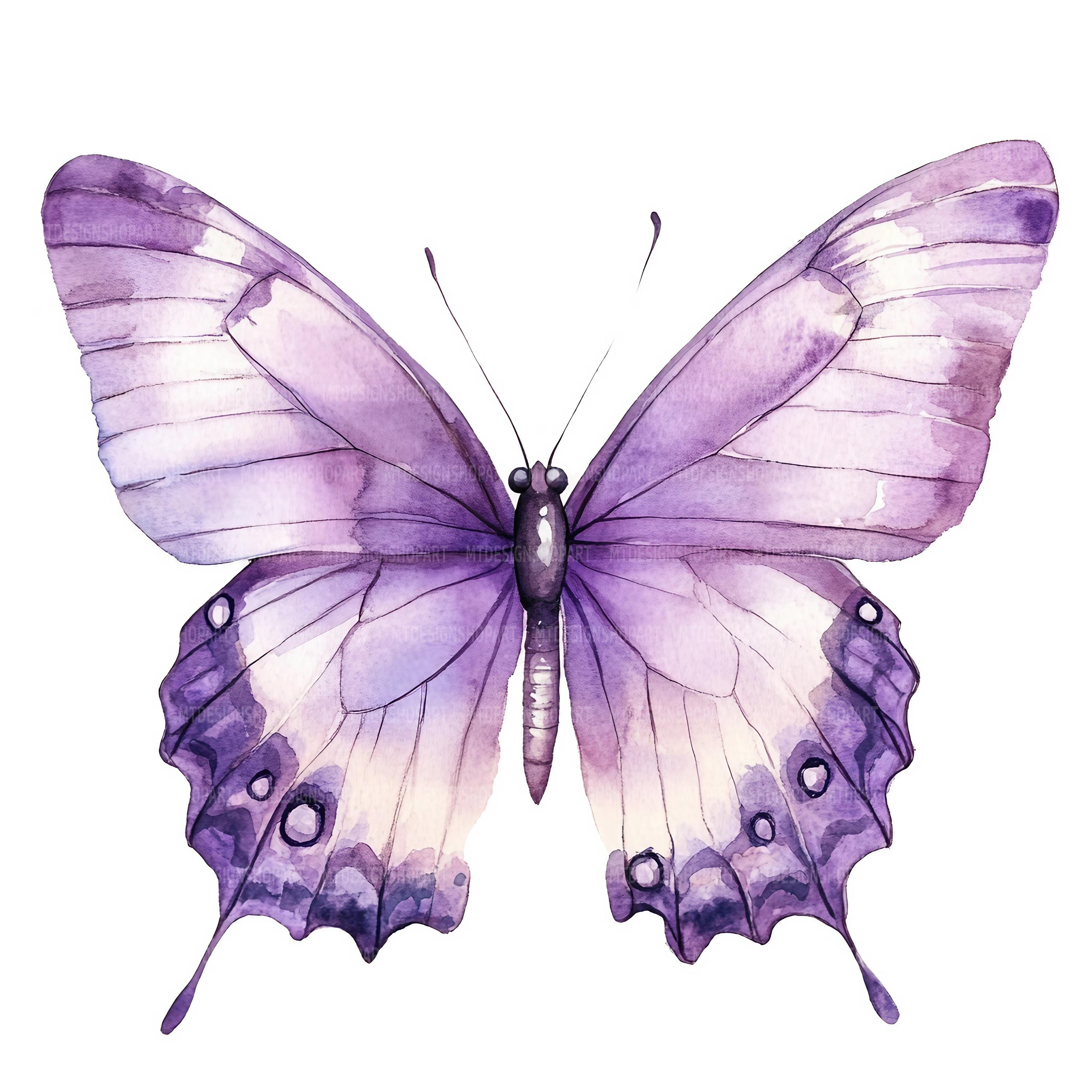 19 Purple Butterfly Clipart, Gold and Purple Butterflies , Printable ...