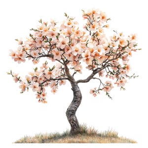 22 Clipart di alberi floreali, Clipart di alberi mitologici, Clipart di acquerelli stampabili, Lavoretti di carta, Diari di scarto, JPG di alta qualità, Download digitale
