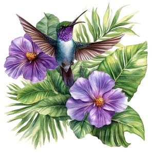 May include: A watercolor painting of a hummingbird with green and blue feathers hovering near purple flowers and green leaves.