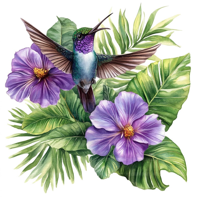 May include: A watercolor painting of a hummingbird with green and blue feathers hovering near purple flowers and green leaves.