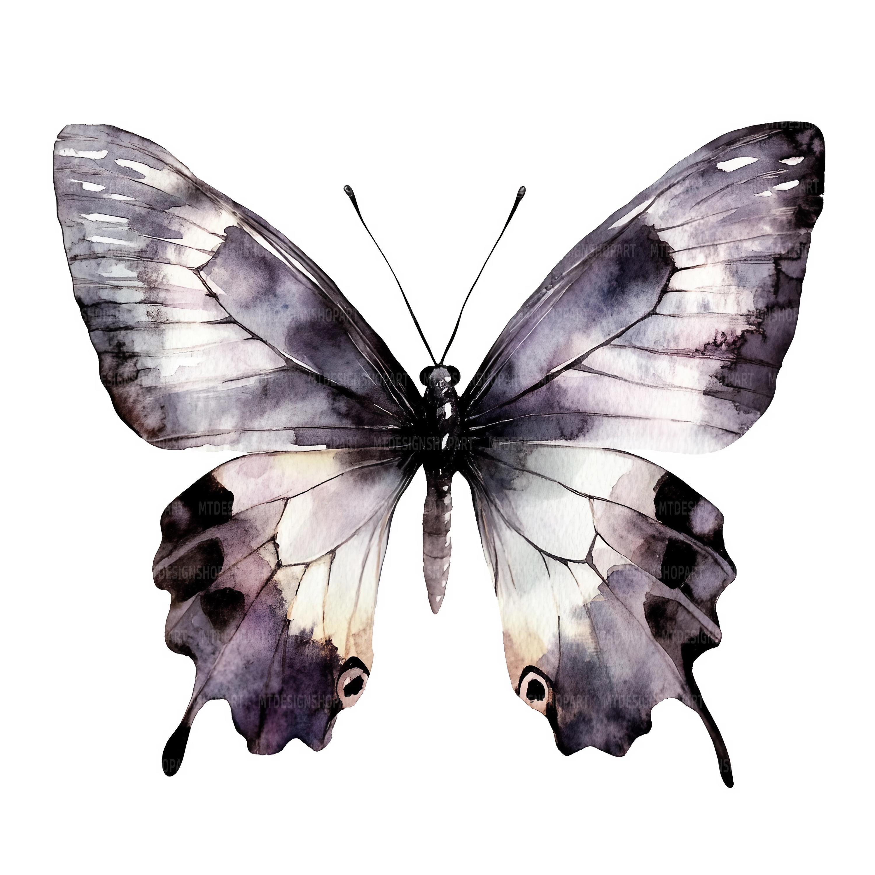 19種類の黒い蝶のクリップアート、蝶のクリップアート、印刷可能な