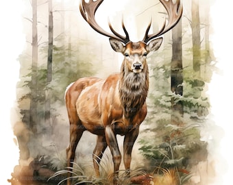20 Deer in Forest Clipart, Red Deer Clipart, Printable Watercolor Clipart, Paper Craft, Junk Journals, High Quality JPGs, Digital Download