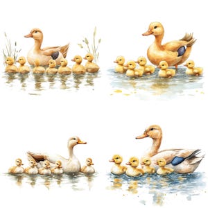 17 Clipart di mamma e anatroccolo, Clipart di anatre, Clipart di acquerelli stampabili, Lavoretti di carta, Diari di scarto, JPG di alta qualità, Download digitale immagine 9