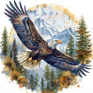 13 Weißkopfseeadler Clipart, druckbare Aquarell Clipart, Papiermodelle, Scrapbook, Junk Journals, hochwertige JPGs, digitaler Download