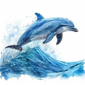 16 Delfin Spielen Clipart, Delfin Clipart, druckbare Aquarell Clipart, Papierkunst, glücklich Delphin, hochwertige JPGs, digitaler Download