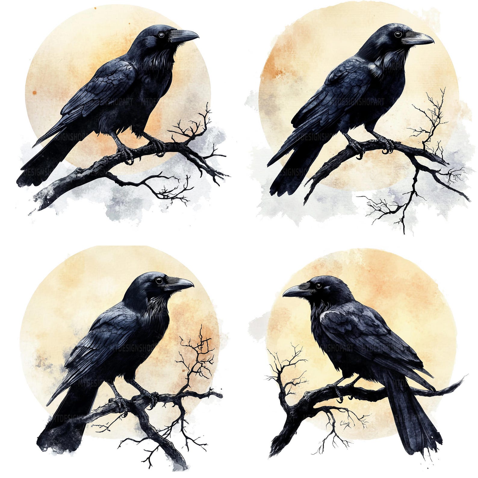 13 Raven on Tree Branch Clipart, Crow Clipart, Printable Watercolor ...