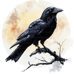 13 Raven on Tree Branch Clipart, Crow Clipart, Printable Watercolor ...