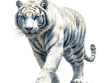 16 White Tiger Clipart, Watercolor Tiger, Printable Watercolor Clipart, Paper Craft, Junk Journals, High Quality JPGs, Digital Download