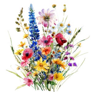 22 fleurs sauvages parterre de fleurs clipart, clipart bouquet de fleurs sauvages, clipart aquarelle imprimable, créations en papier, fichiers JPG de haute qualité, téléchargement numérique