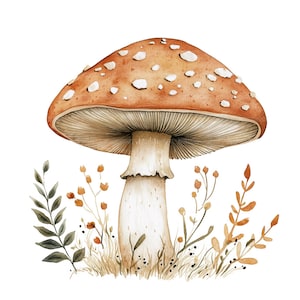 20 Clipart champignons folkloriques scandinaves, art déco de Noël, clipart aquarelle imprimable, créations en papier, JPG de haute qualité, téléchargement numérique