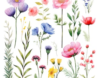 Watercolor Wildflower Clipart: Meadow Flowers, Paper Crafts (Digital Download JPGs 4096x4096px)