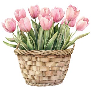 19 Pink Tulips Clipart, Flower Basket Clipart, Printable Watercolor Clipart, Paper Craft, Junk Journals, High Quality JPGs, Digital Download