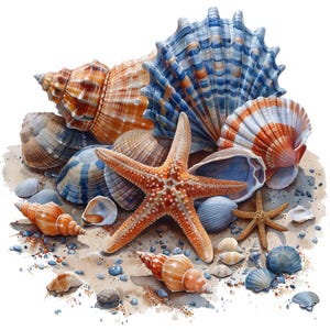 19 imágenes prediseñadas de conchas marinas, imágenes prediseñadas de conchas marinas, imágenes prediseñadas de acuarela imprimibles, manualidades de papel, diarios basura, archivos JPG de alta calidad, descarga digital