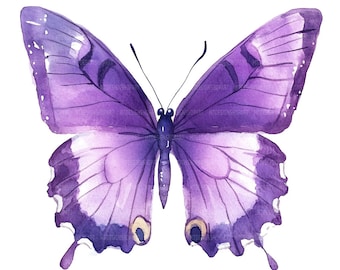19 Purple Butterfly Clipart, Gold And Purple Butterflies , Printable Watercolor Clipart, Paper Craft, High Quality JPGs, Digital Download