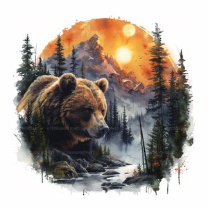 14 Clipart orso, clipart acquerello stampabile, clipart orso acquerello, JPG di alta qualità, download digitale, alta risoluzione, artigianato di carta