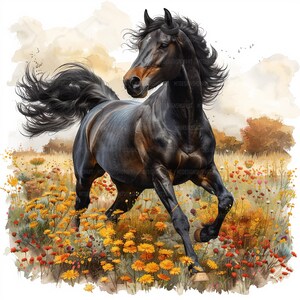 12 schwarze Pferde Clipart, Pferd Clipart, Aquarell Clipart, Papiermodelle, Kartenherstellung, Junk Journal, hochwertige JPGs, digitaler Download