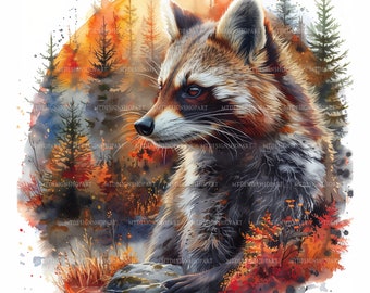 15 Racoon Clipart, Printable Watercolor clipart, Watercolor Racoon Clipart, High Quality JPGs, Digital, High resolution, Paper crafts