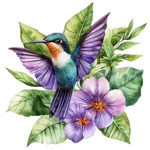 May include: A watercolor painting of a hummingbird with purple wings and a green and blue body, perched on a branch with purple flowers.
