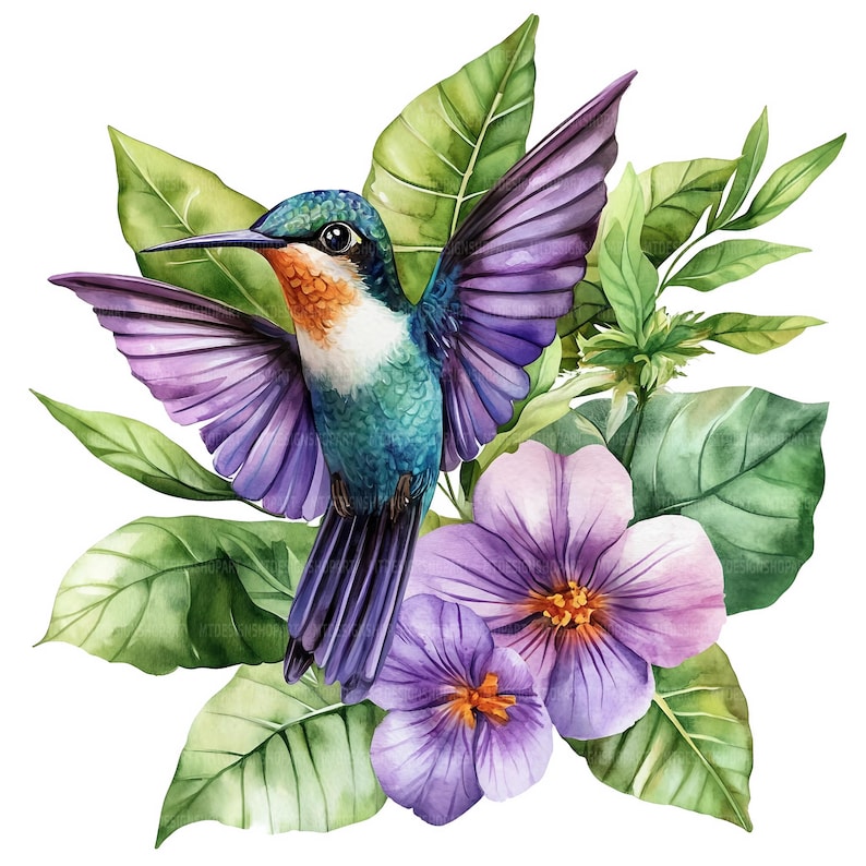 May include: A watercolor painting of a hummingbird with purple wings and a green and blue body, perched on a branch with purple flowers.