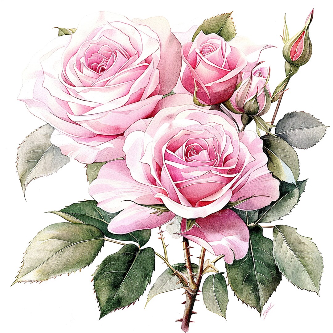 15 Pink Roses Clipart, Roses Clipart, Roses Bouquet, High Quality JPG ...