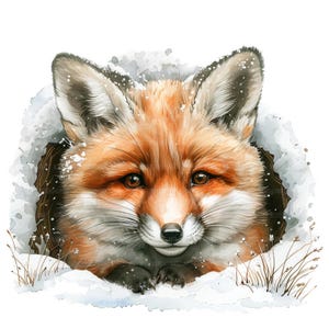 19 Baby Fox in Hole Clipart, Fox Clipart, Printable Watercolor Clipart, Paper Craft, Junk Journals, High Quality JPGs, Digital Download