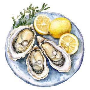 15 Oyster on Plate Clipart, Watercolor Oyster Clipart, Printable Watercolor Clipart, Paper Craft, High Quality JPGs, Digital Download