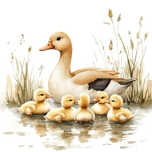 17 Clipart di mamma e anatroccolo, Clipart di anatre, Clipart di acquerelli stampabili, Lavoretti di carta, Diari di scarto, JPG di alta qualità, Download digitale immagine 7