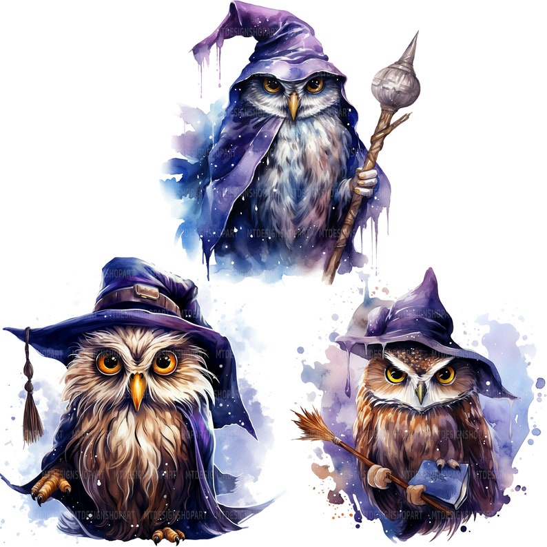 Washed Owl 14 Wizard Owl Clipart, Magic Owl, Printable Watercolor Clipart, Paper ...