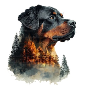 16 Rottweiler Dog Clipart, Rottweiler Dog with Forest Clipart, Printable Watercolor Clipart, Paper Craft, High Quality JPG, Digital Download