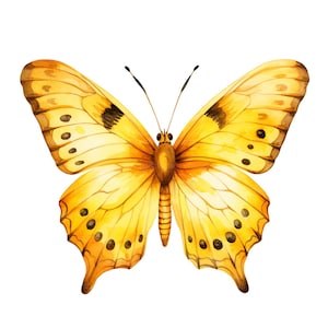 19 imágenes prediseñadas de mariposas amarillas, imágenes prediseñadas de mariposas, imágenes prediseñadas de acuarela imprimibles, manualidades de papel, revistas basura, JPG de alta calidad, descarga digital