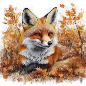 18 Clipart di volpe autunnale nella foresta, Clipart di volpe, Clipart di acquerello stampabile, Artigianato di carta, Diari spazzatura, JPG di alta qualità, Download digitale