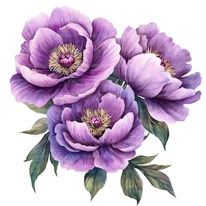 25 imágenes prediseñadas de peonías moradas, flores moradas, imágenes prediseñadas de acuarela imprimibles, manualidades de papel, diarios basura, archivos JPG de alta calidad, descarga digital
