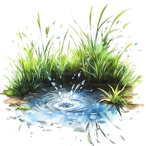 16 Clipart eau et herbe, marais herbe herbe des zones humides Clipart, clipart aquarelle imprimable, créations en papier, JPG de haute qualité, téléchargement numérique