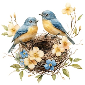 16 Clipart nid d'oiseau printemps, clipart oiseau bleu, clipart aquarelle imprimable, créations en papier, journaux indésirables, JPG de haute qualité, téléchargement numérique