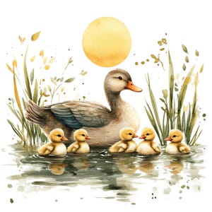 17 Clipart di mamma e anatroccolo, Clipart di anatre, Clipart di acquerelli stampabili, Lavoretti di carta, Diari di scarto, JPG di alta qualità, Download digitale immagine 2