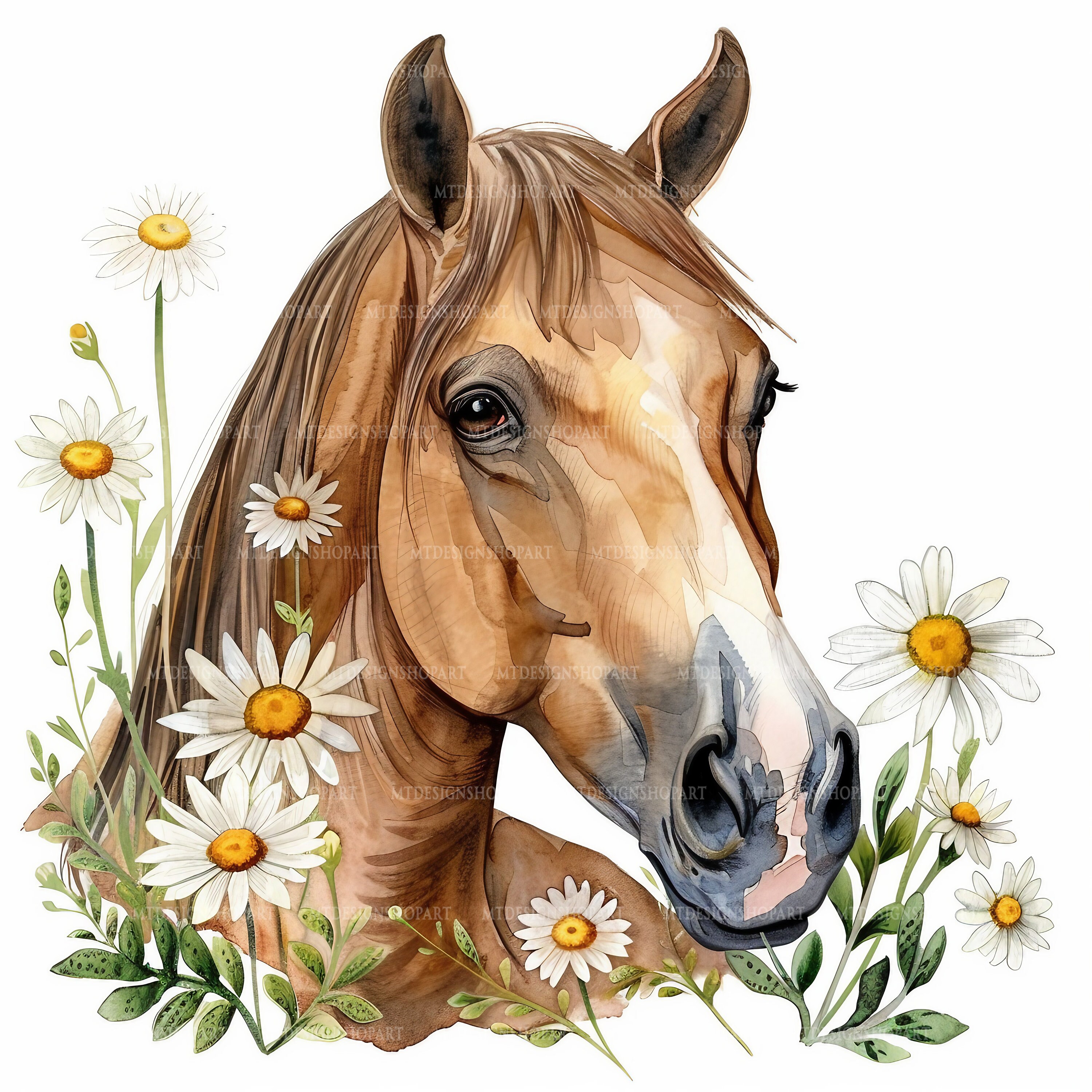 12 Floral Horses in Daisy Flowers Clipart, Printable Watercolor Clipart ...