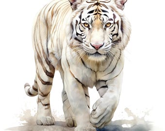 14 White Tiger Clipart, Tiger Clip art, Printable Watercolor Clipart, Paper Craft, Junk Journals, High Quality JPGs, Digital Download