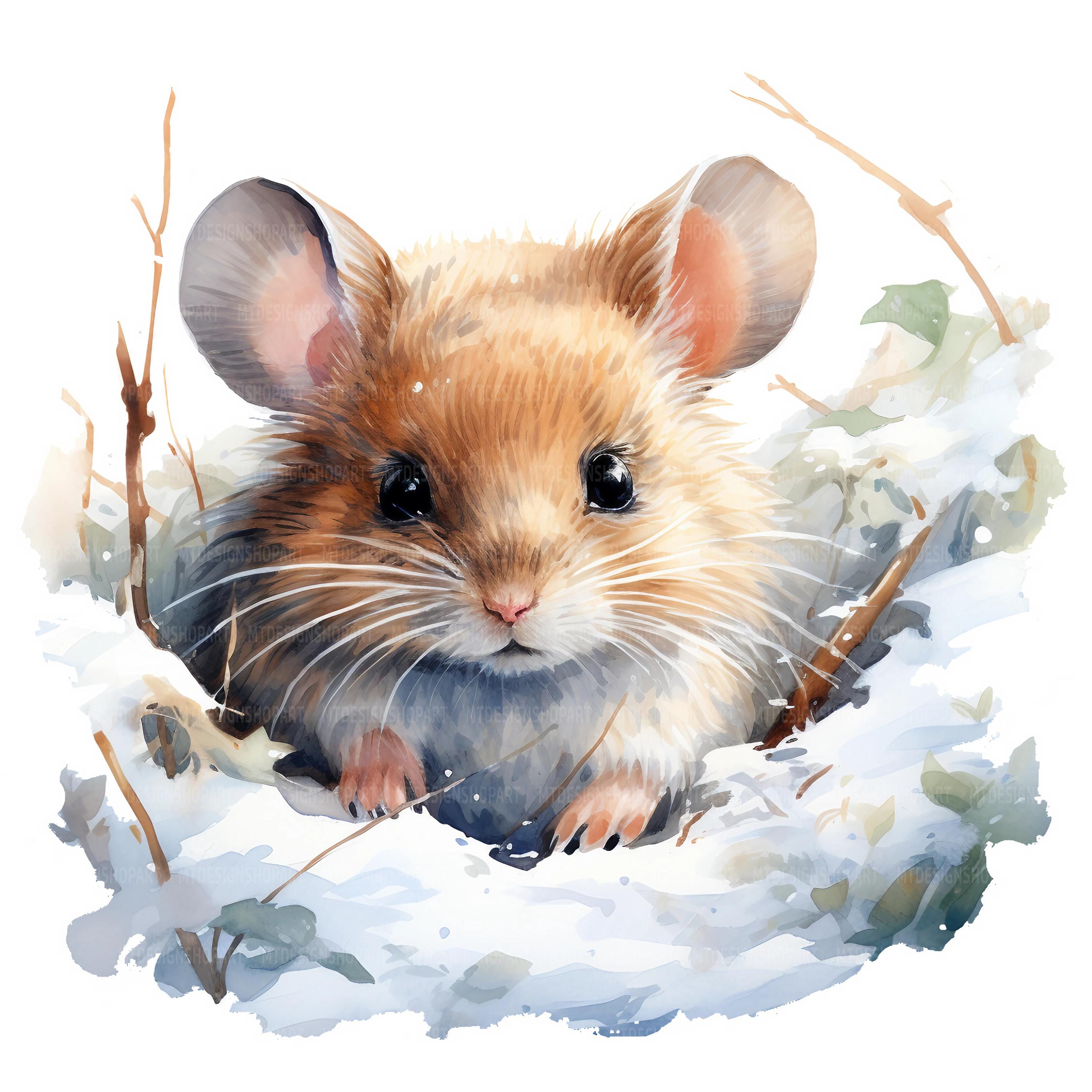 17 Mouse Hole Clipart, Sleeping Mouse, Printable Watercolor Clipart ...